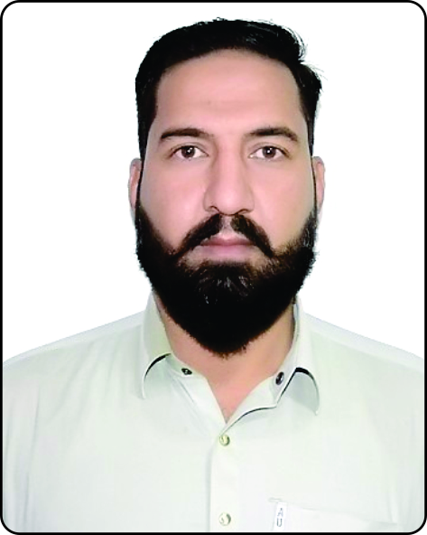 حاجی گل